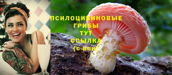 индика Алексеевка