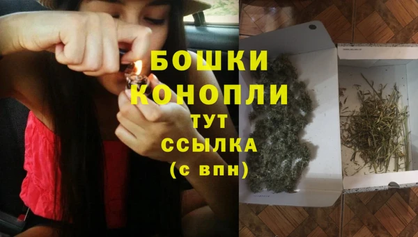 PSILOCYBIN Сатка