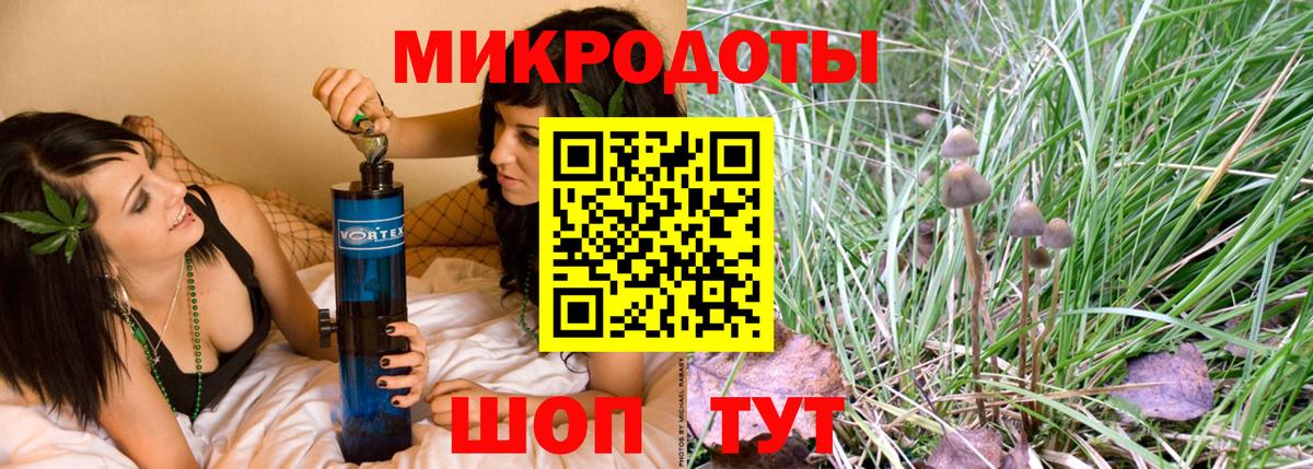 Псилоцибиновые грибы Psilocybine cubensis  Вход с VPN  Красноуфимск 