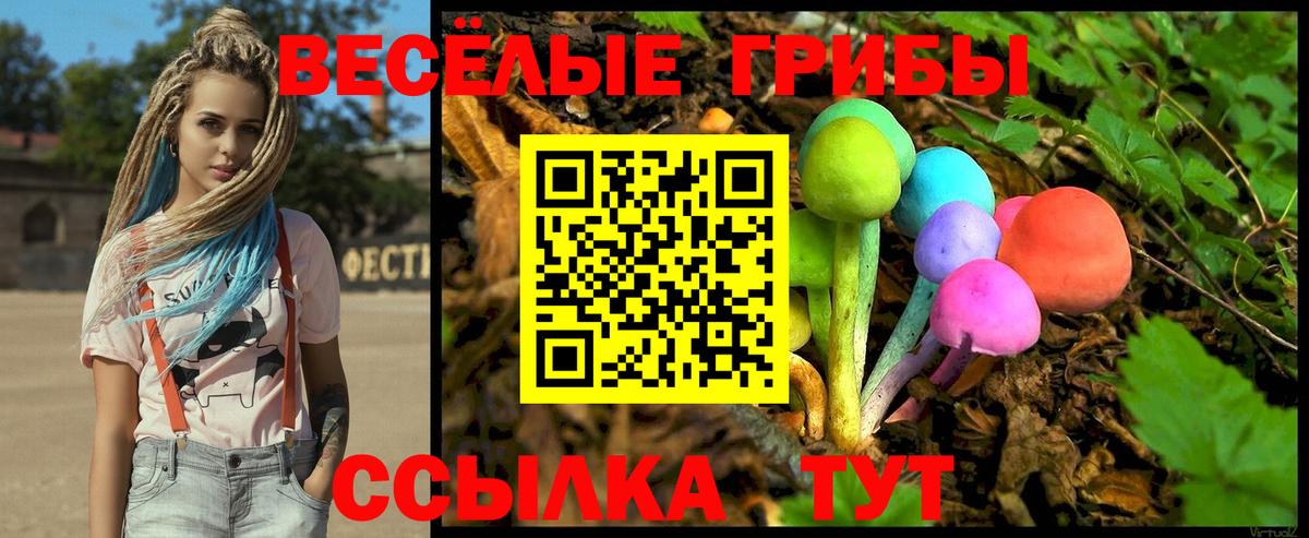 Псилоцибиновые грибы MAGIC MUSHROOMS Красноуфимск